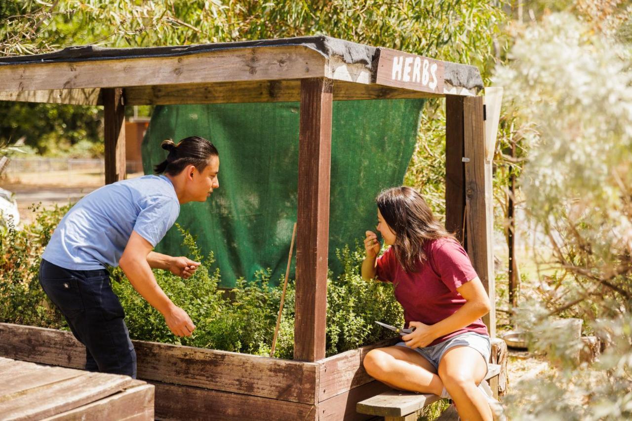 Yha Grampians Eco, Холс-Гэп Экстерьер фото