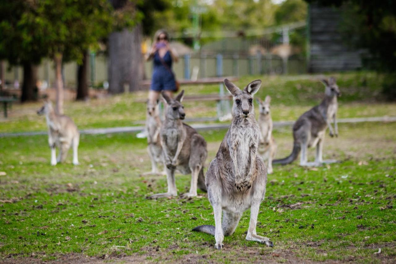 Yha Grampians Eco, Холс-Гэп Экстерьер фото