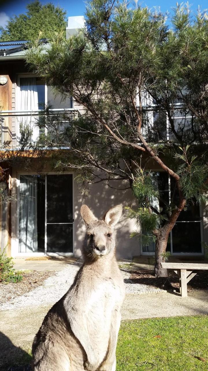 Yha Grampians Eco, Холс-Гэп Экстерьер фото