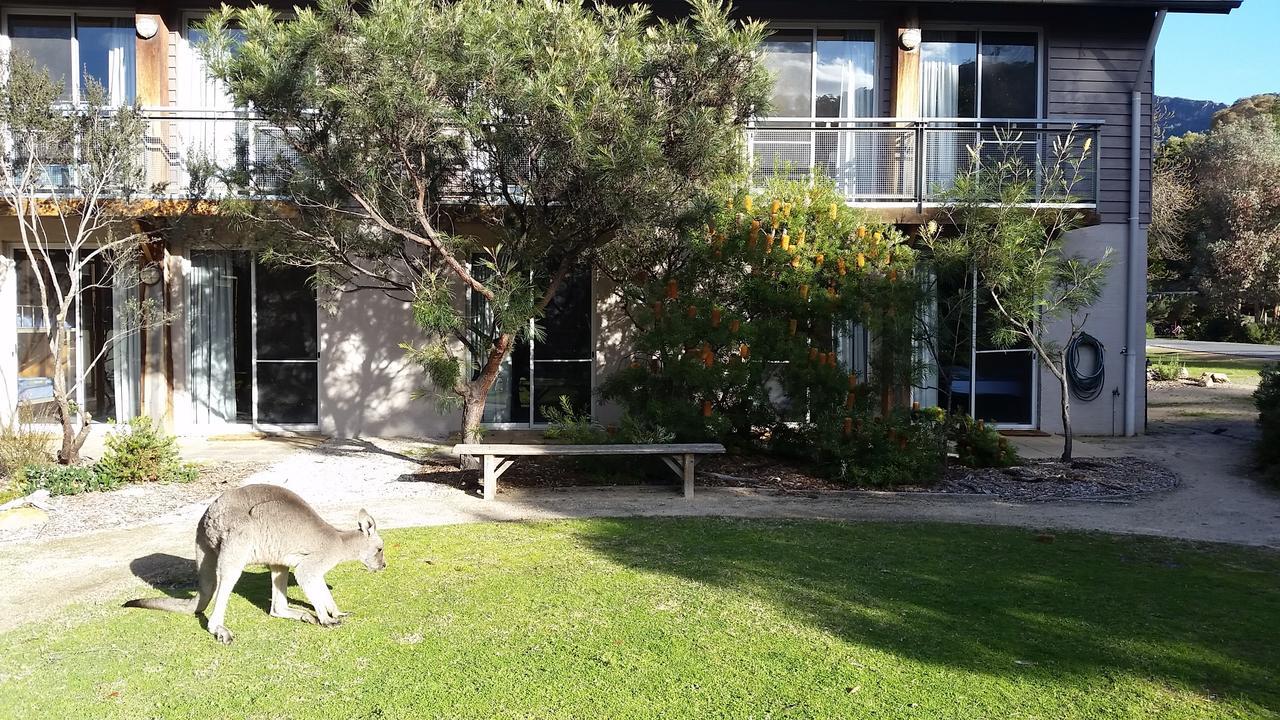 Yha Grampians Eco, Холс-Гэп Экстерьер фото