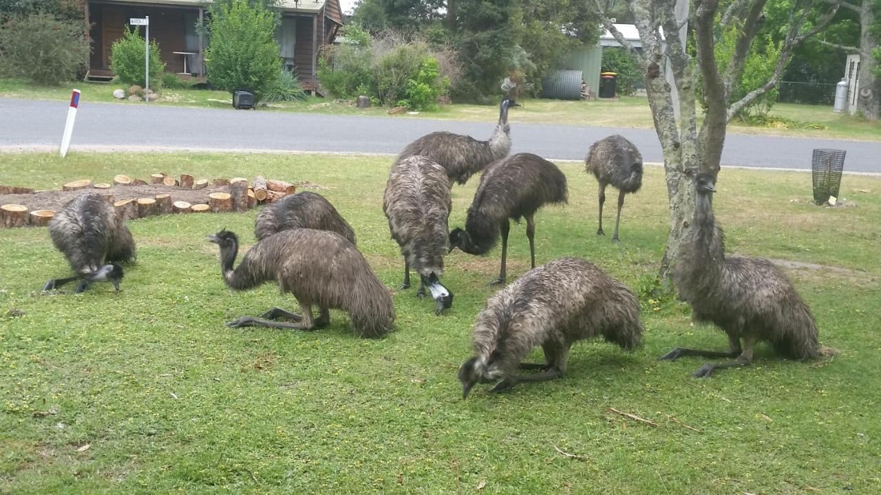 Yha Grampians Eco, Холс-Гэп Экстерьер фото